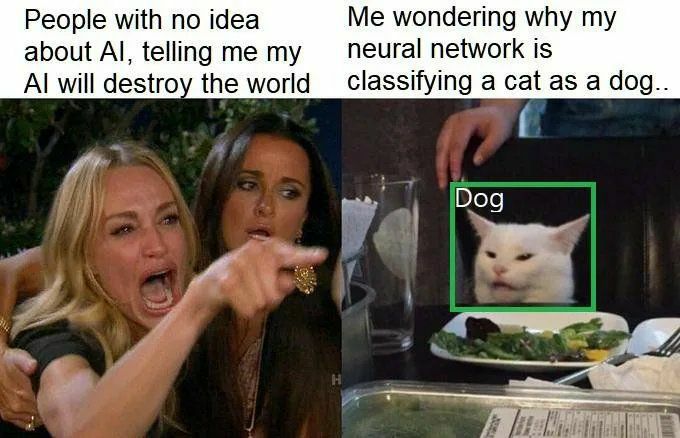 People with no idea Me wondering why my about telling me my пеига! network is will destroy the world a cat as a dog.. Dog
