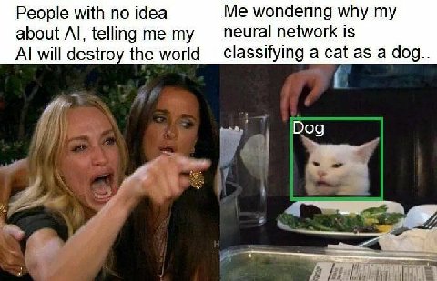 People with no idea Me wondering why my about telling me my пеига! network is will destroy the world a cat as a dog.. Dog
