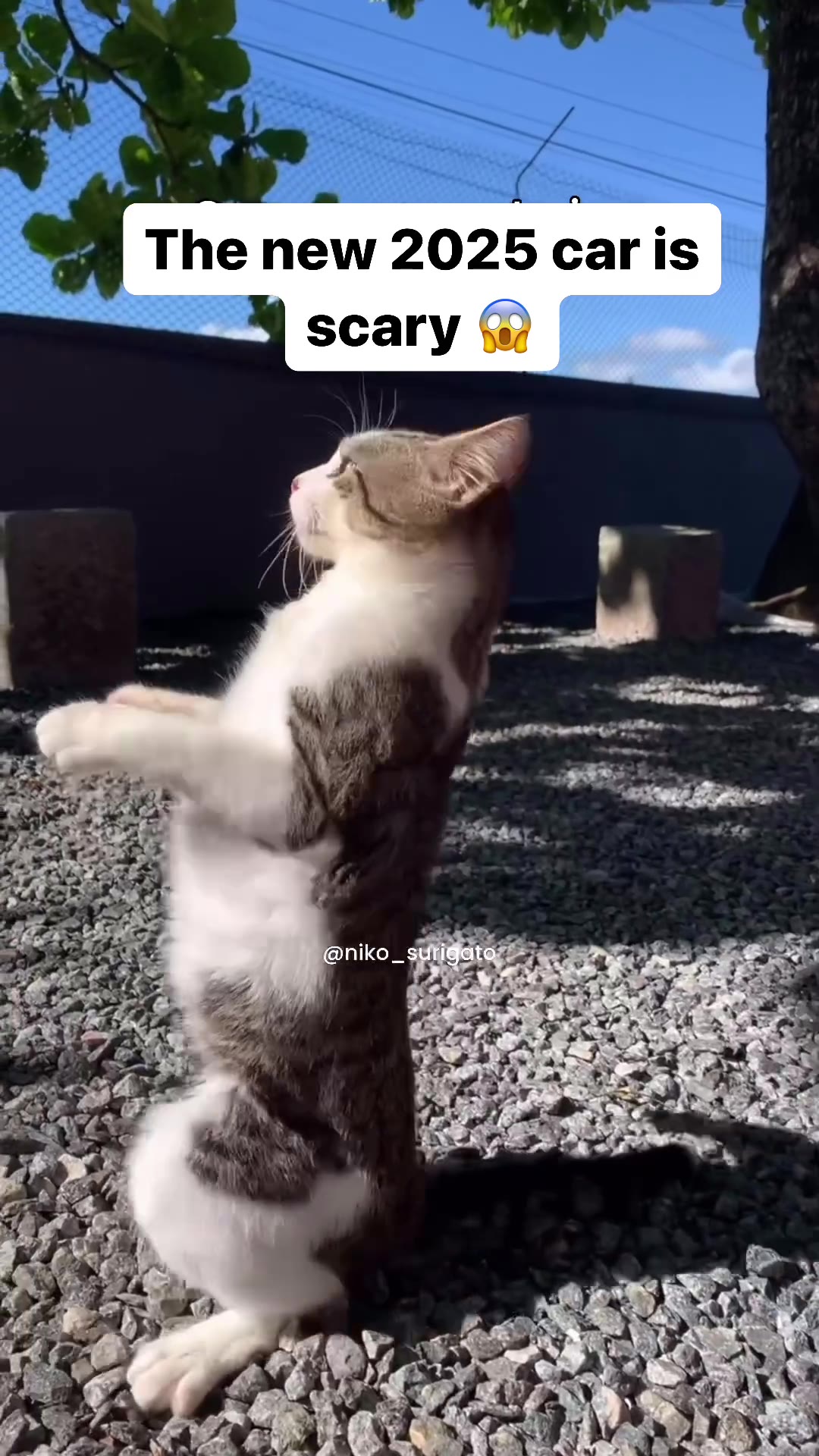 1% @nikgm@Urigato Pio oss НС В о Ааавиь.