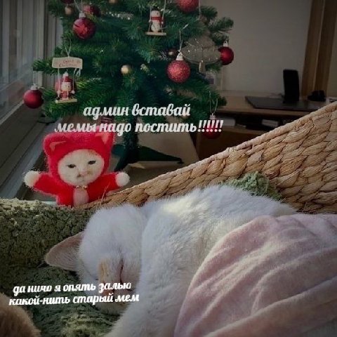 админ вставай мемы надо постить!!!!!! да ничо я опять залью какой-нить MEM