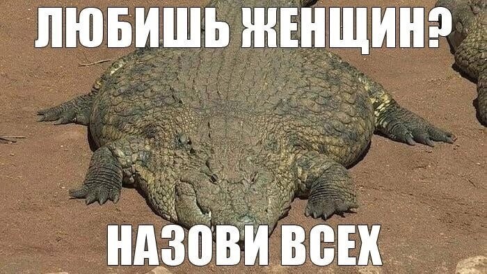 ЛЮБИШЬ НАЗОВИ ВСЕХ