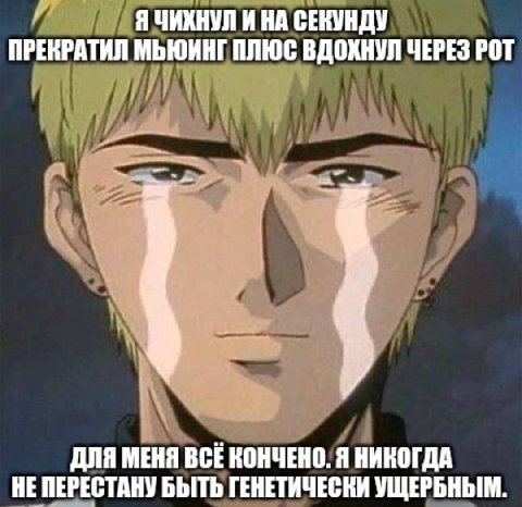 ЯЧИХНУЛ И НА СЕКУНДУ ПРЕНРАТИЛ ПЛЮС ВДОХНУЛ ЧЕРЕЗ POT ДЛЯ МЕНЯ BCE КОНЧЕНО. Я НИКОГДА НЕ ПЕРЕСТАНУ БЫТЬ ГЕНЕТИЧЕСКИ УЩЕРБНЫМ.