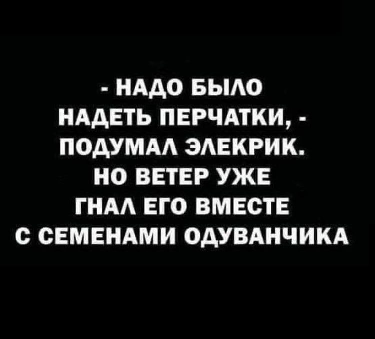 НАДО БЫЛО НАДЕТЬ ПЕРЧАТКИ, ПОДУМАЛ ЭЛЕКРИК. НО ВЕТЕР УЖЕ ГНАЛ ЕГО ВМЕСТЕ С СЕМЕНАМИ ОДУВАНЧИКА