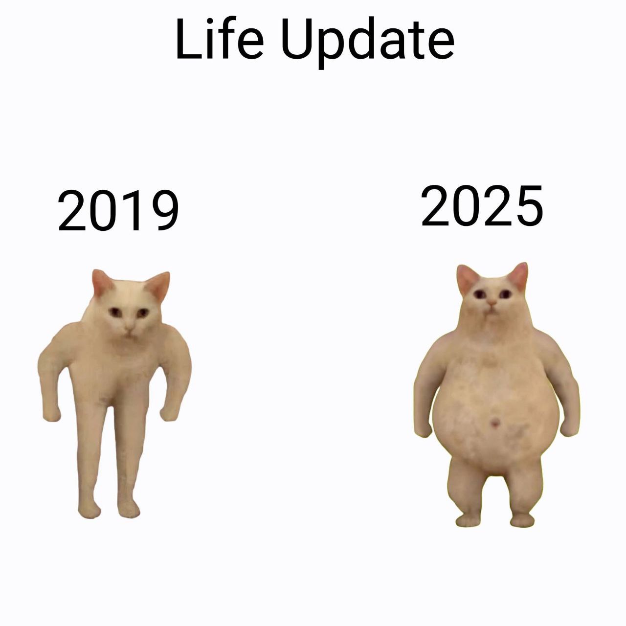 Life Update 2019 2025