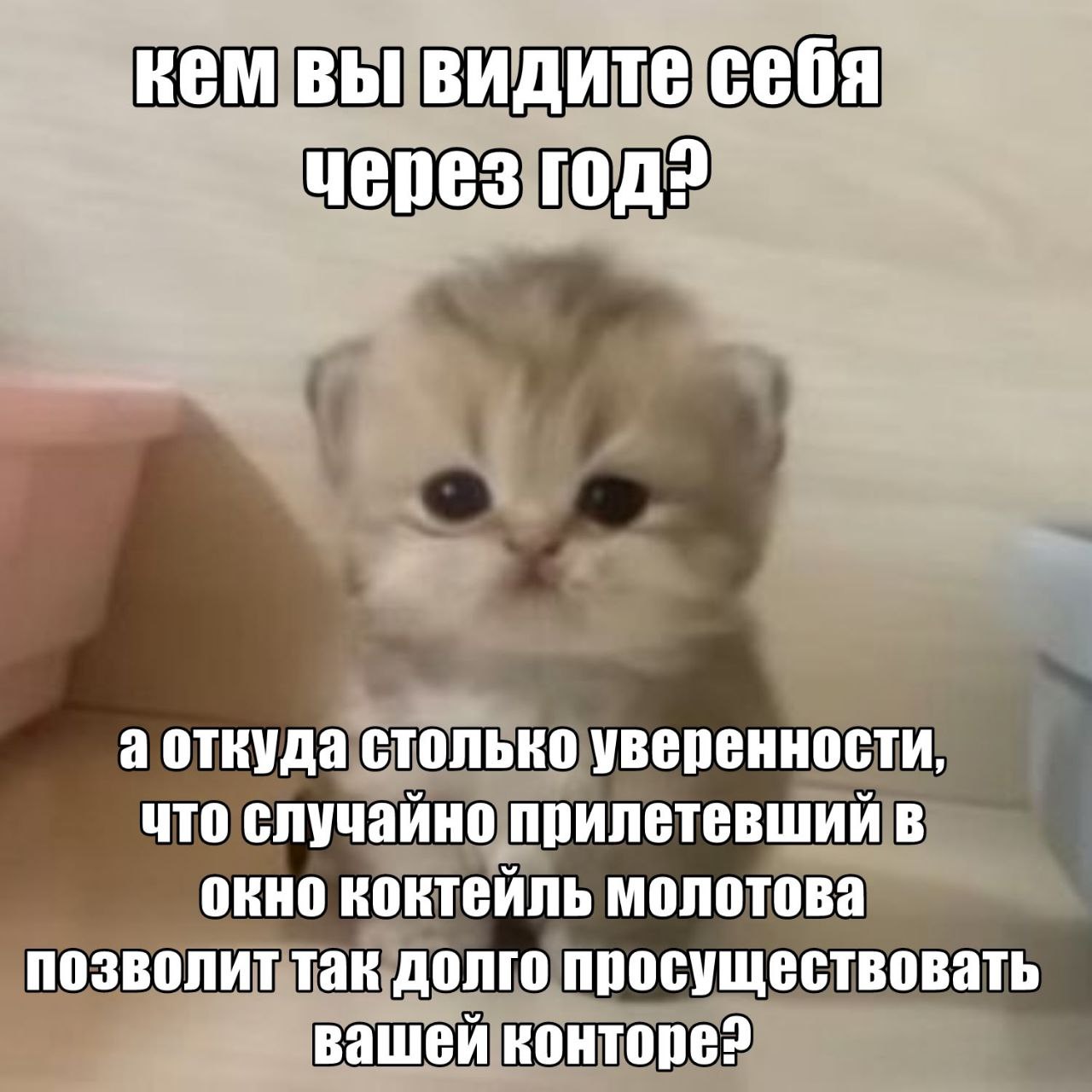 кем вы видите себя через а откуда столько уверенности, что случайно прилетевший в окно коктейль молотова позволит так долго просуществовать вашей конторе?