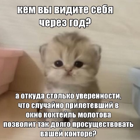 кем вы видите себя через а откуда столько уверенности, что случайно прилетевший в окно коктейль молотова позволит так долго просуществовать вашей конторе?