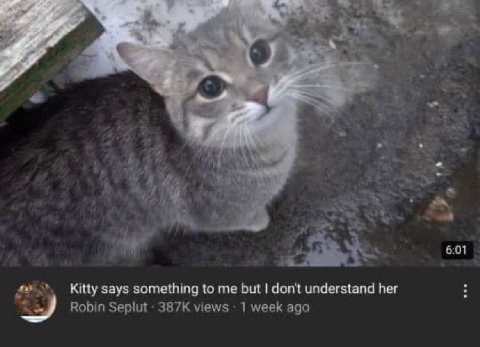 у 4 в 47. А Kitty says something to me but don't understand her Robin Seplut views 1 week ago