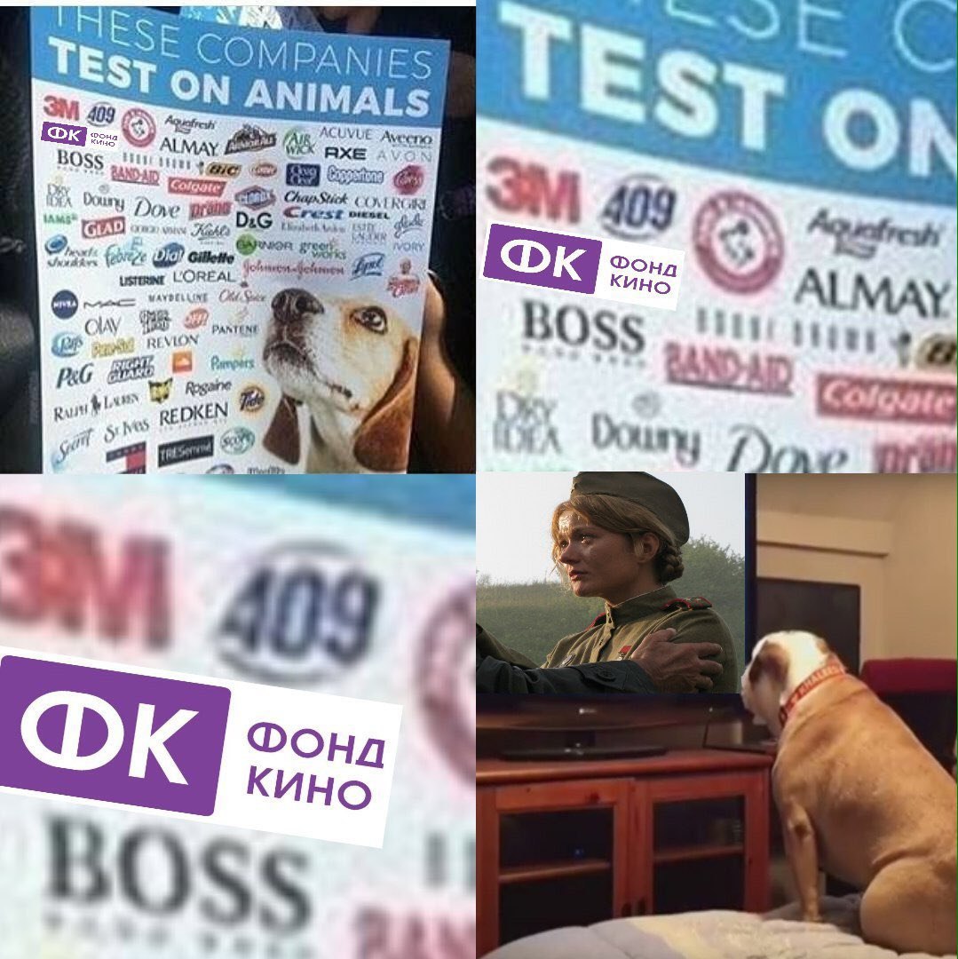COMPANIES TEST on ANIMALS 409 Ста... ALMAy кино BOSs RAND Downy Doe Фонд кино