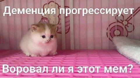 Деменция прогрессирует Воровал ли я этот мем?