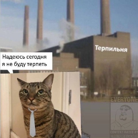 Терпильня Надеюсь сегодня я не буду терпеть
