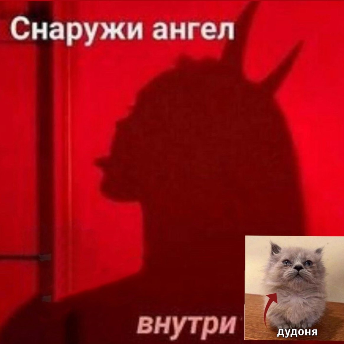 Снаружи ангел внутри