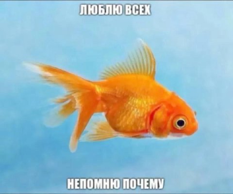 ЛЮБЛЮ ВСЕХ НЕПОМНЮ ПОЧЕМУ