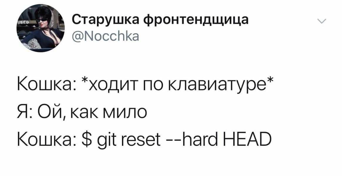 Старушка фронтендщица @Nocchka Кошка: *ходит по клавиатуре* Я: как мило Кошка: git reset --hard HEAD