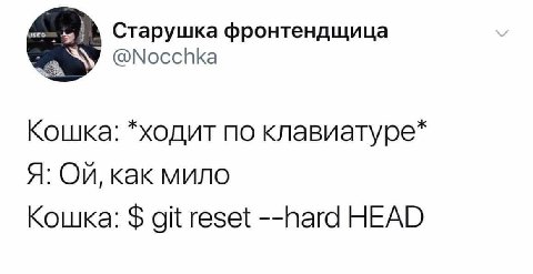 Старушка фронтендщица @Nocchka Кошка: *ходит по клавиатуре* Я: как мило Кошка: git reset --hard HEAD