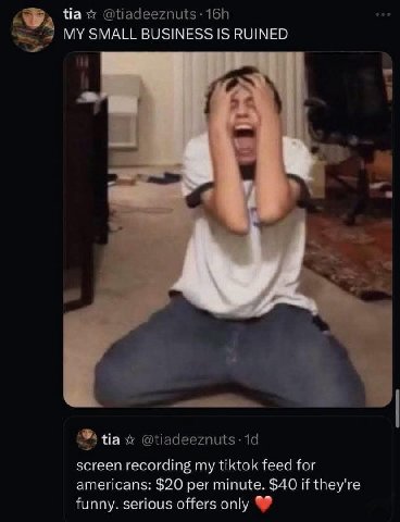 tia MYSMALL BUSINESS IS RUINED tia @tiadeeznuts-1d screen recording my tiktok feed for americans: $20 per minute. $40 if they're funny. serious offers only