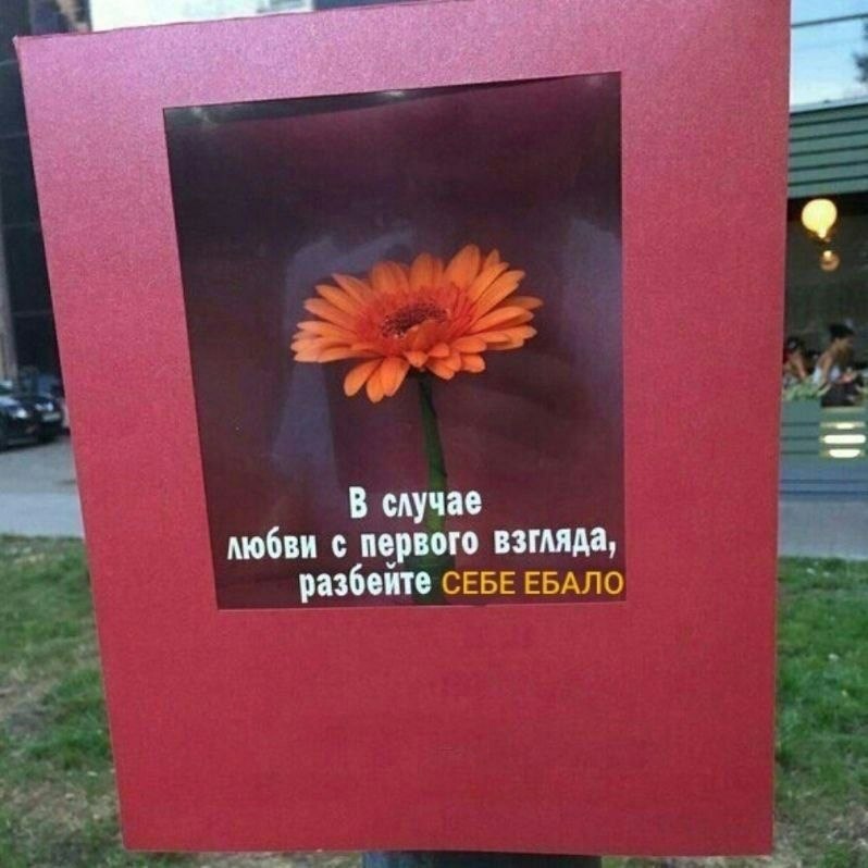 В случае любви с первого взгляда, разбейте СЕБЕ ЕБАЛО