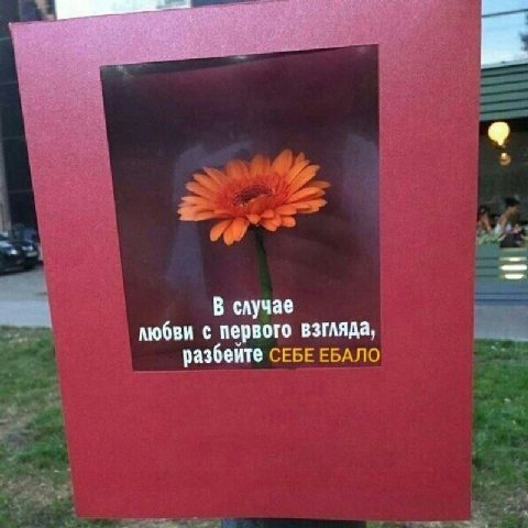 В случае любви с первого взгляда, разбейте СЕБЕ ЕБАЛО
