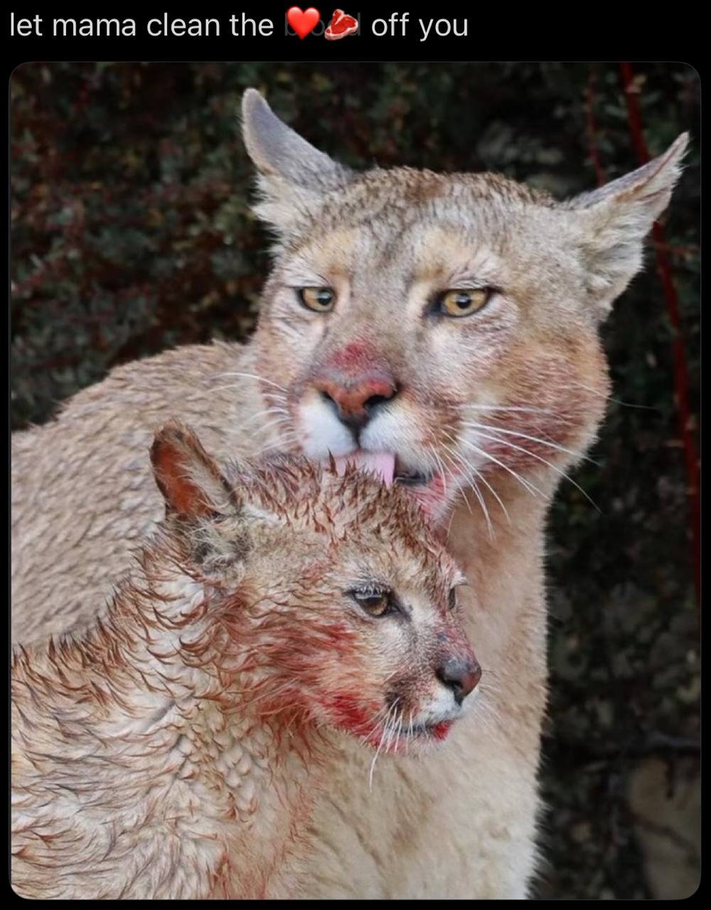 let mama clean the off you 1