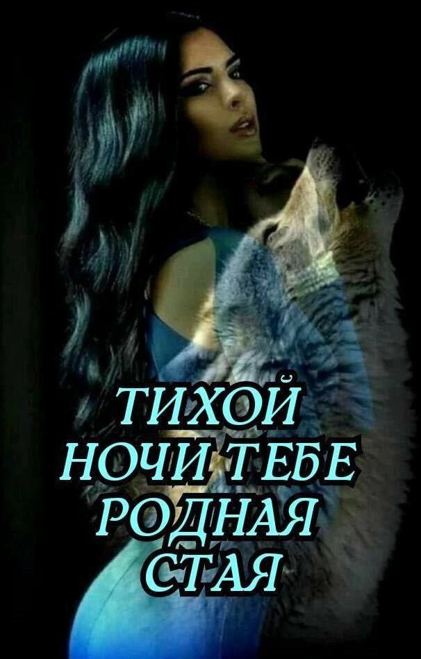 4 4 ТИХОЙ НОЧИ ТЕБЕ СТАЯ