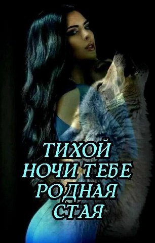 4 4 ТИХОЙ НОЧИ ТЕБЕ СТАЯ