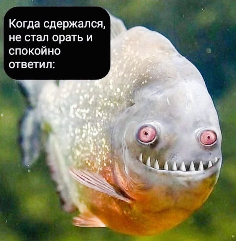 Когда сдержался, не стал орать и СПОКОЙНО ответил: 4