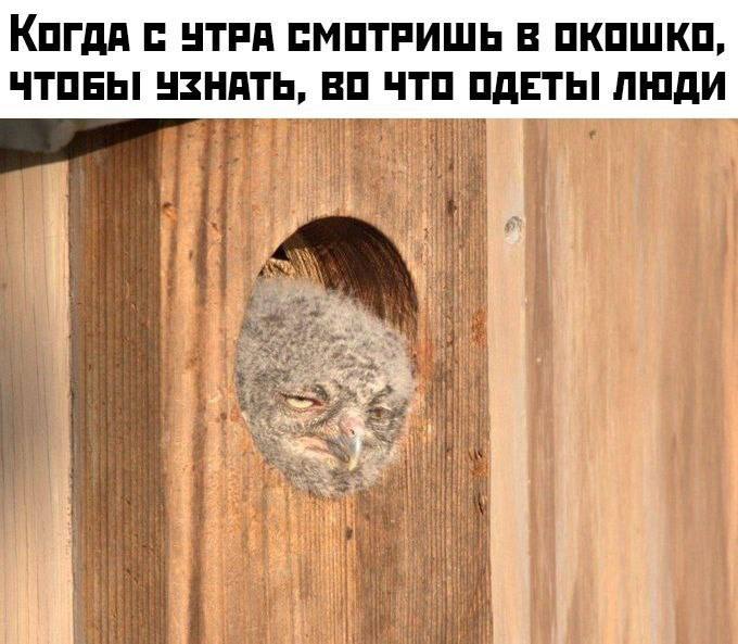 КогдА С УТРА СМОТРИШЬ В ОКОШКО, ЧТОБЫ УЗНАТЬ, ЧТО ОДЕТЬ! ЛЮДИ у Я