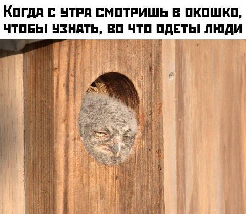 КогдА С УТРА СМОТРИШЬ В ОКОШКО, ЧТОБЫ УЗНАТЬ, ЧТО ОДЕТЬ! ЛЮДИ у Я