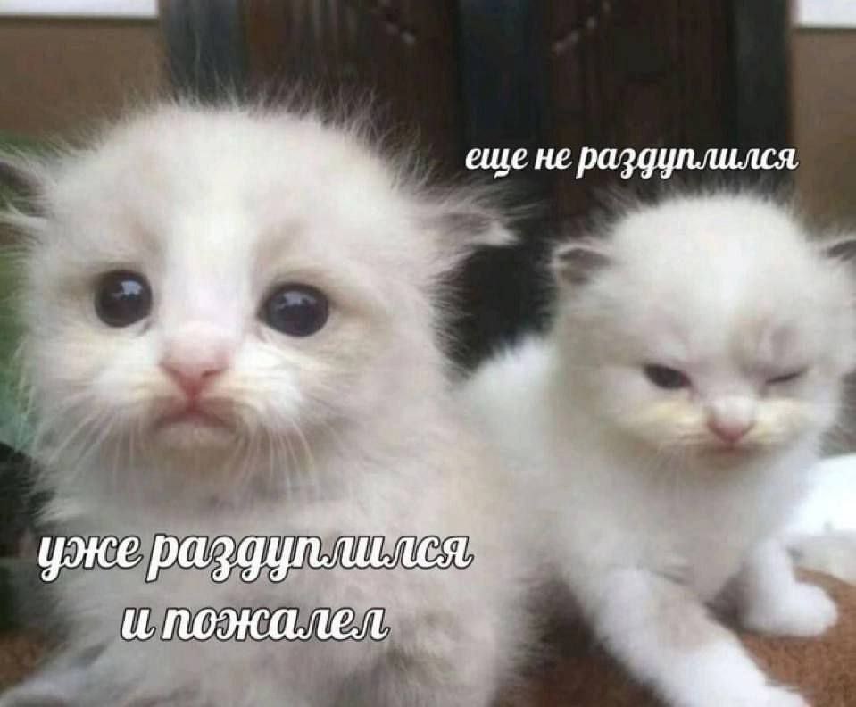еше не раздуплился уже pazgy