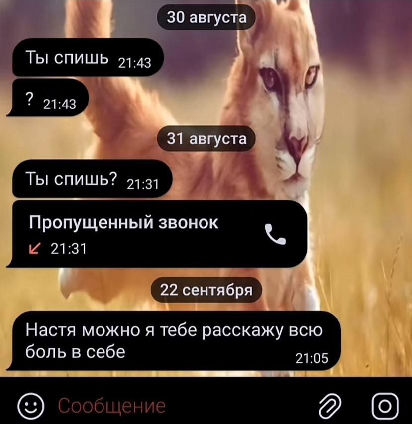 30 августа ТЫ СПИШЬ 94-43 9 21:43 31 августа Ты спишь? 21.31 Пропущенный звонок 21:31 7 22 сентября Настя можно я тебе расскажу всю боль в себе 21:05 (9)