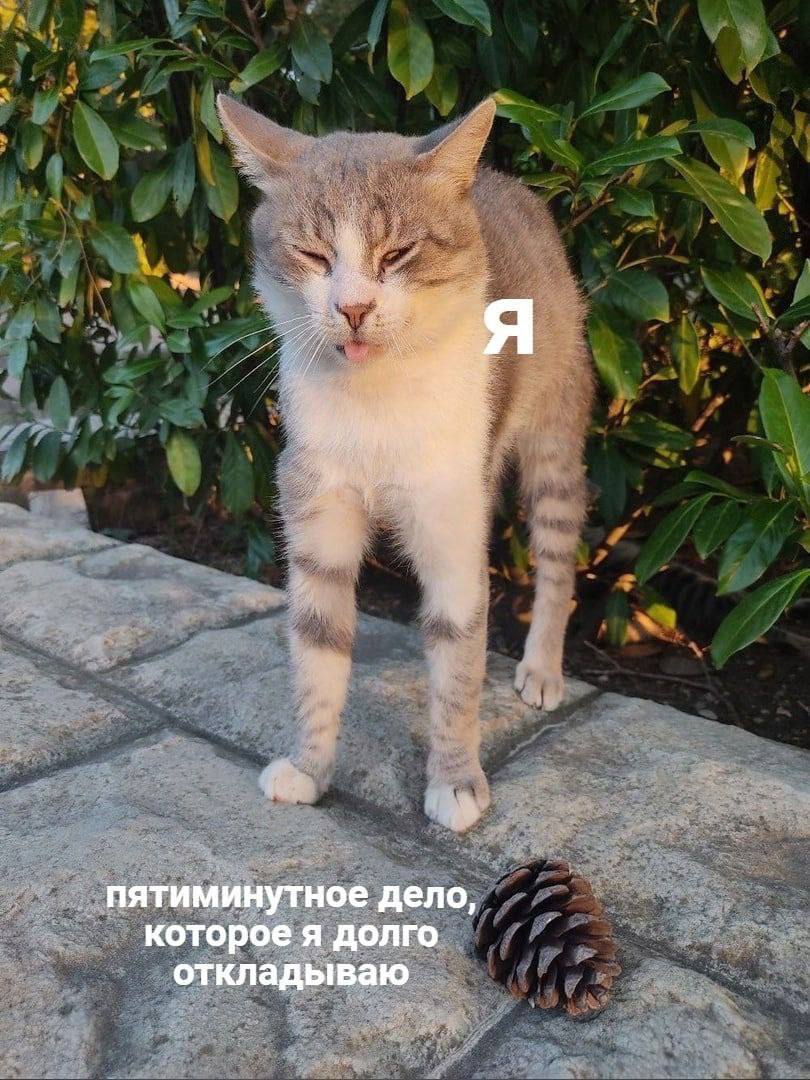 пятиминутное дело, которое я долго откладываю