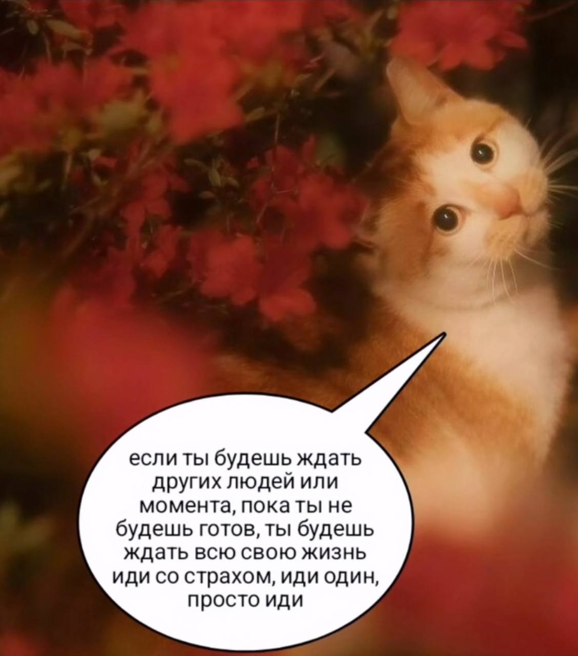 если ты будешь ждать других людей или момента, пока ты не будешь готов, ты будешь ждать всю свою жизнь иди страхом, иди один, просто иди