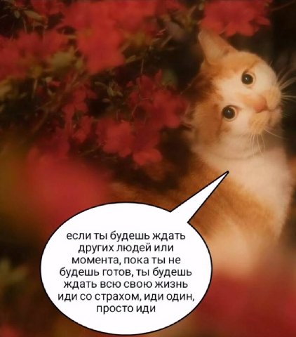 если ты будешь ждать других людей или момента, пока ты не будешь готов, ты будешь ждать всю свою жизнь иди страхом, иди один, просто иди