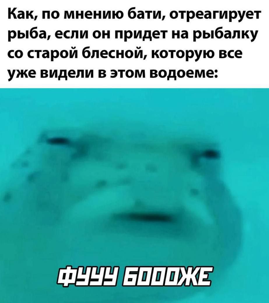 Как, по мнению бати, отреагирует рыба, если он придет на рыбалку старой блесной, которую все уже видели в этом водоеме: БОПОЖЕ