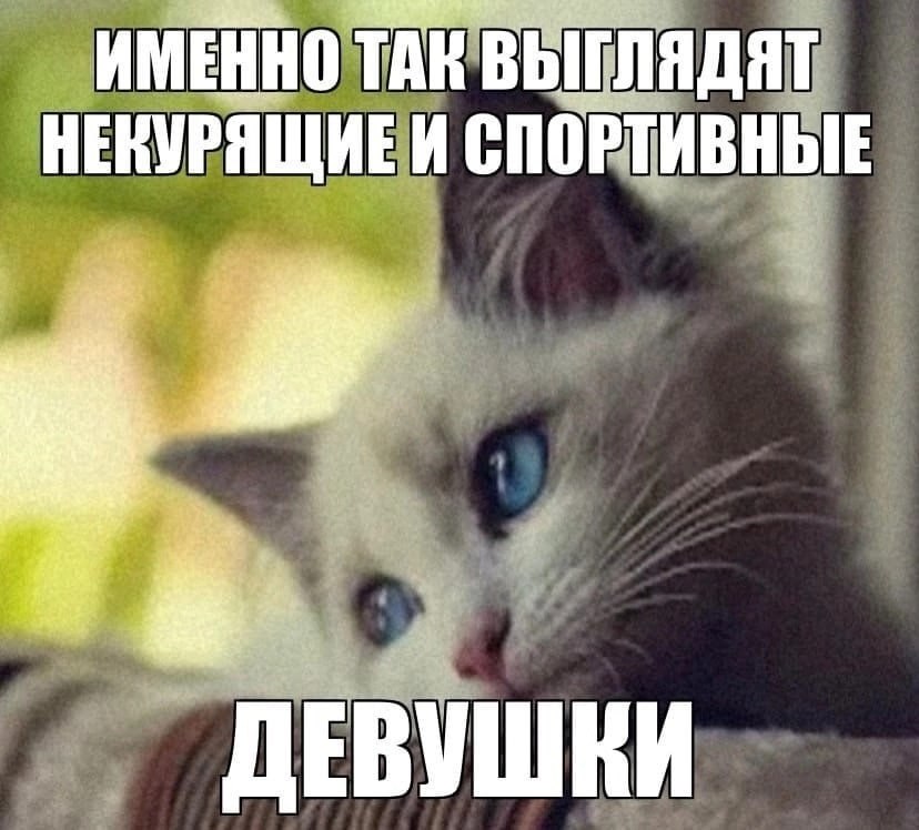 ИМЕННО ТАК ВЫГЛЯДЯТ НЕКУРЯЩИЕИ СПОРТИВНЫЕ