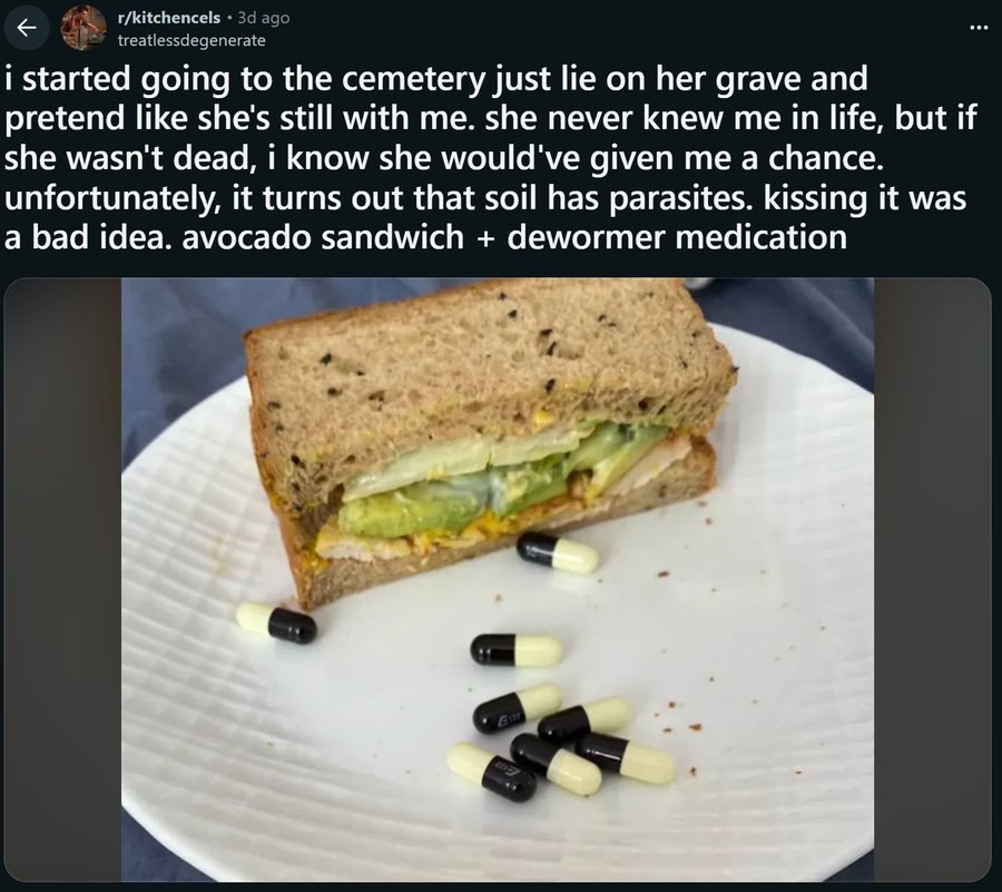 r/kitchencels ago i started going to the cemetery just lie on her grave and pretend like she's still with me. she never knew me in life, but if she wasn't dead, i know she would've given me a chance. 