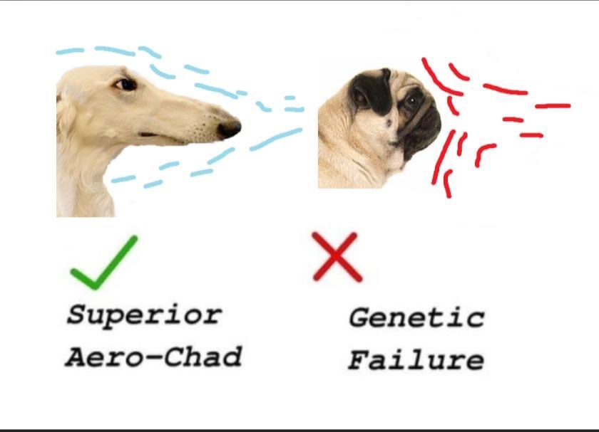 Superior Genetic Aero-Chad Failure