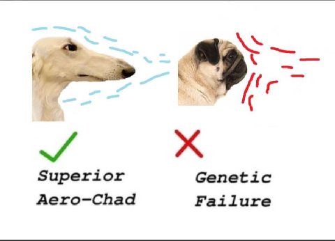 Superior Genetic Aero-Chad Failure