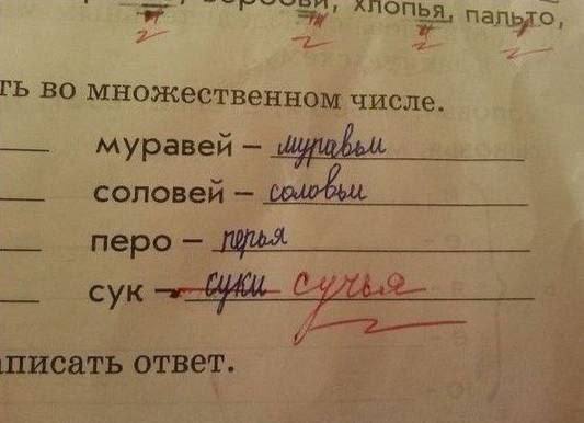 о множественном числе муравей соловей перо сук писать ответ.