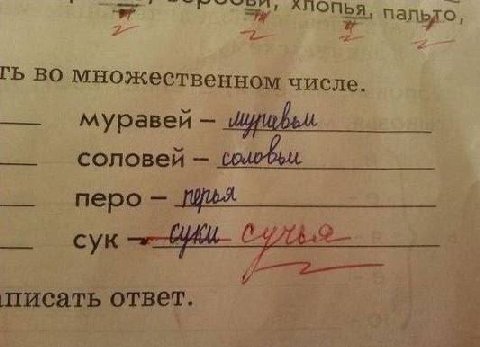 о множественном числе муравей соловей перо сук писать ответ.