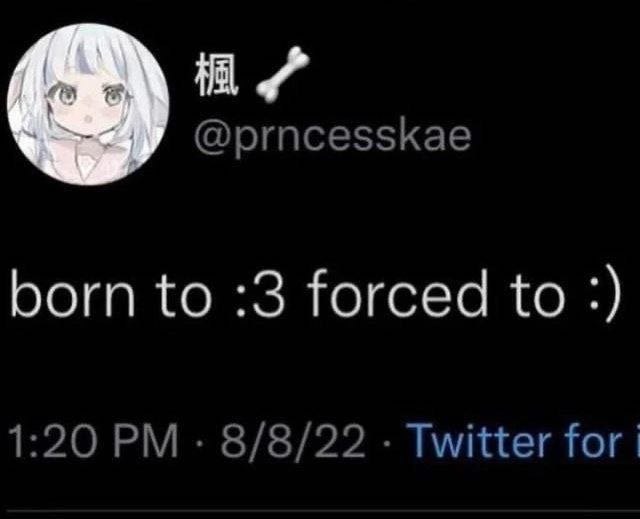 @prncesskae born to :3 forced to 1:20 8/8/22 Twitter for