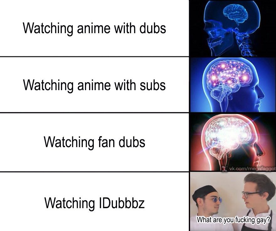 Watching anime with dubs Watching anime with subs Watching fan dubs Watching IDubbbz