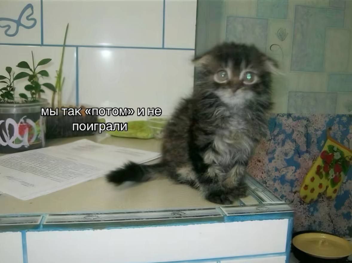 мы так «потом» и не поиграли