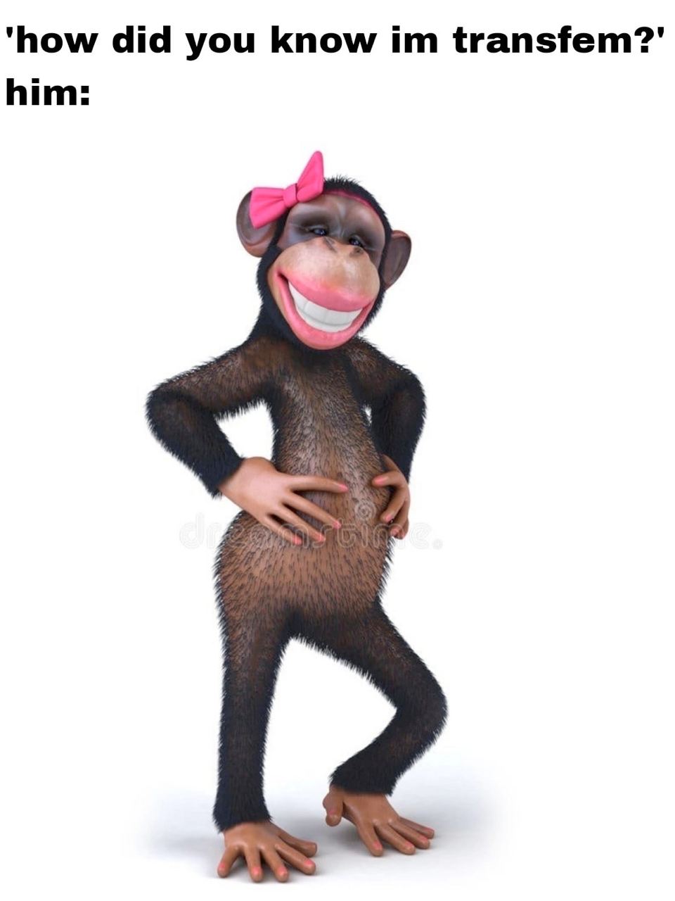 ‘how did you know transfem? him: