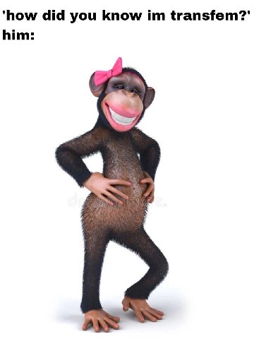 ‘how did you know transfem? him: