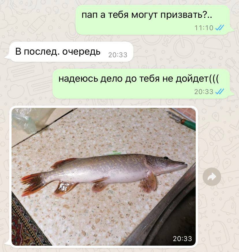 пап а тебя могут призвать?.. 11:10 4 В послед. очередь 20:33 надеюсь дело до тебя не дойдет((( 20:33