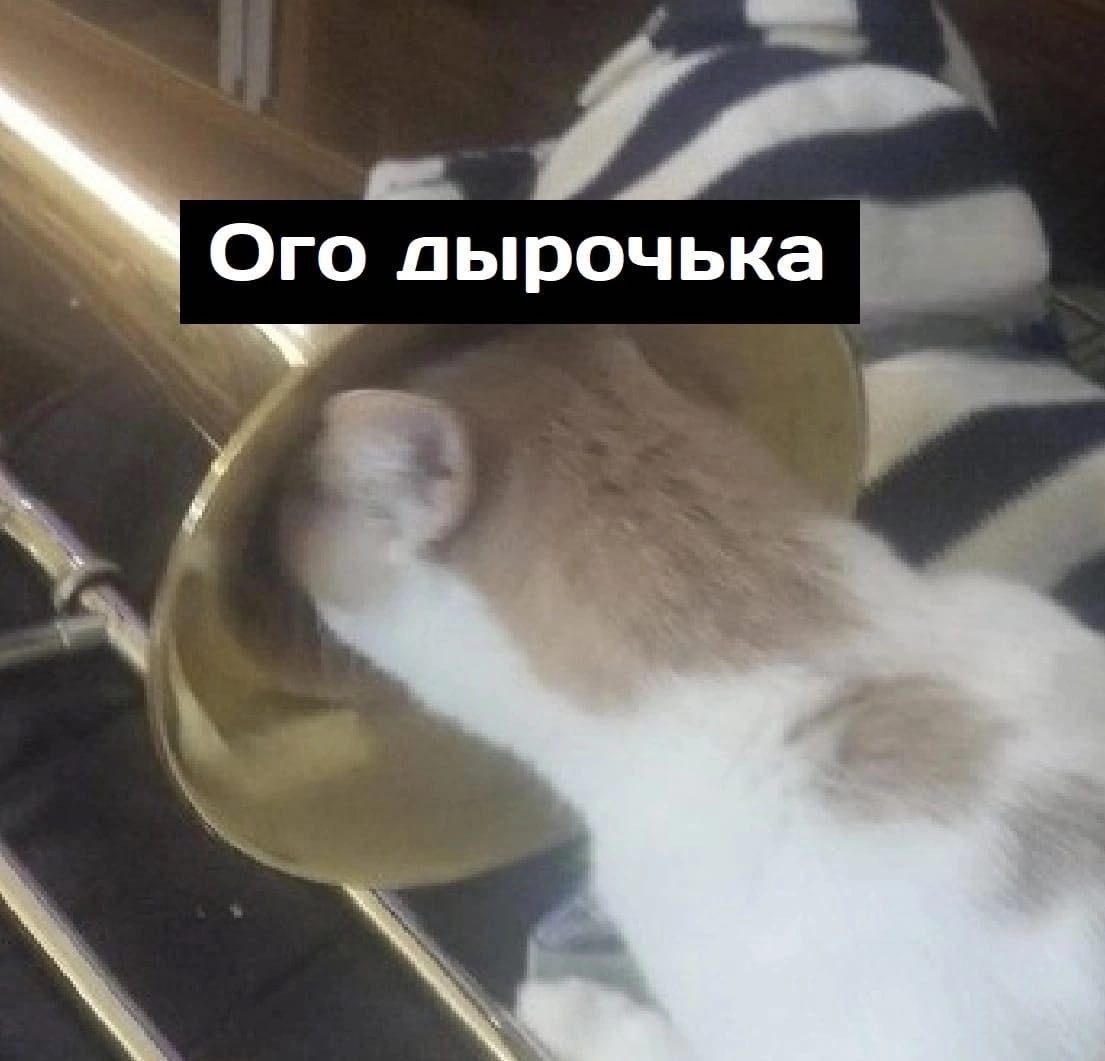 Ого пырочька