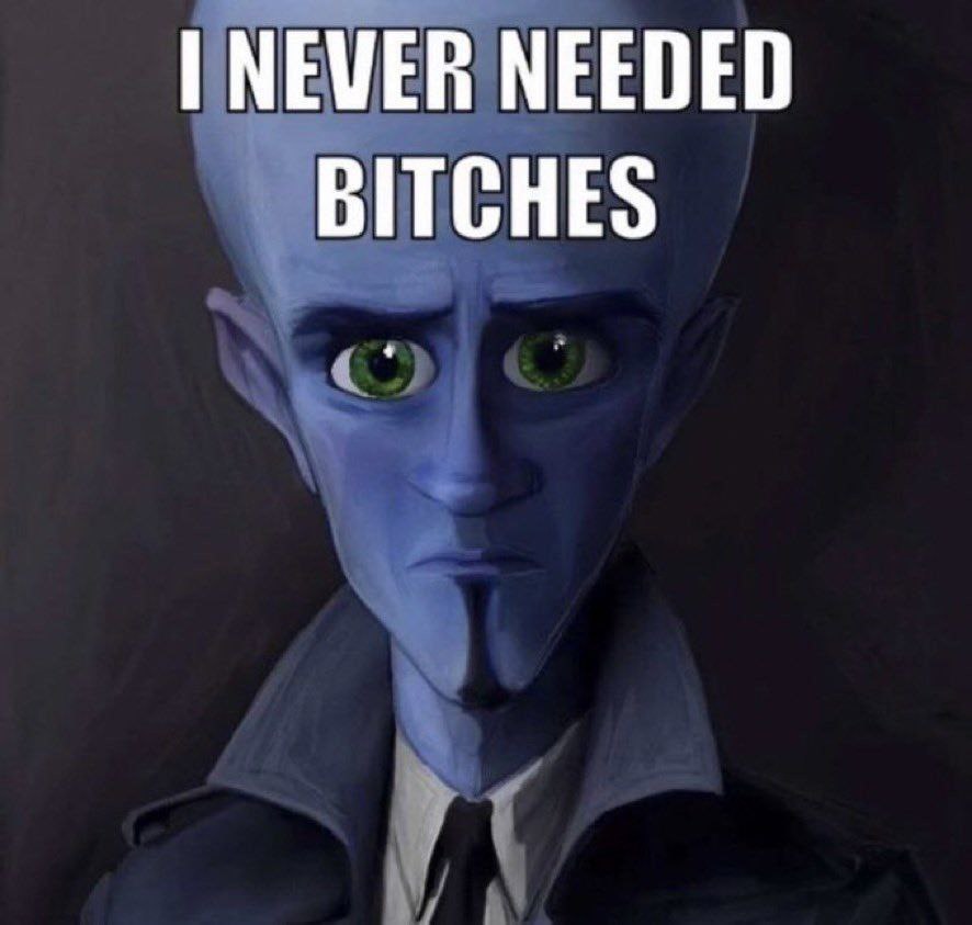 NEVER NEEDED BITCHES