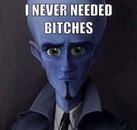 NEVER NEEDED BITCHES