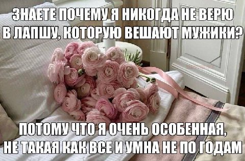 НИКОГДА HEBEPIO ‚КОТОРУЮ ВЕШАЮТ We ЧТО ОСОБЕННАЯ, ТАКАЯ ИУМНА НЕПО ГОДАМ
