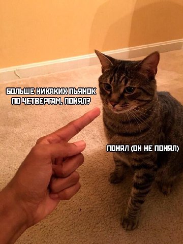 БОЛЬШЕ. НИКАКИХ: ПО'ЧЕТВЕРГАМ, ПОНЯЛ (ОН НЕ ПОНЯЛ)